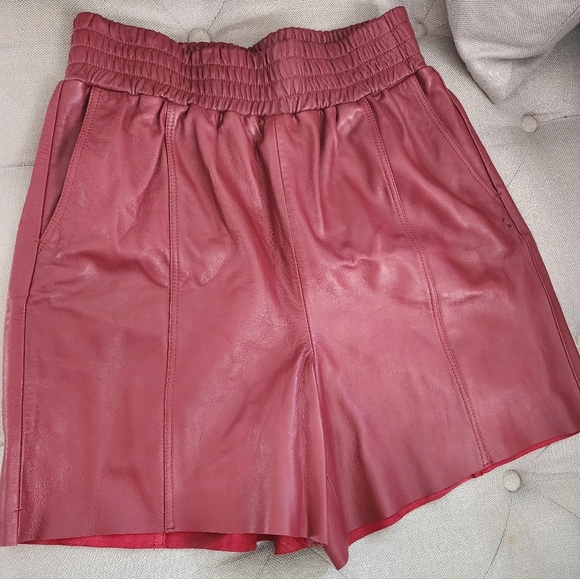 CLOSET STAPLE- GESTUZ LEATHER SHORTS - Picture 4 of 4